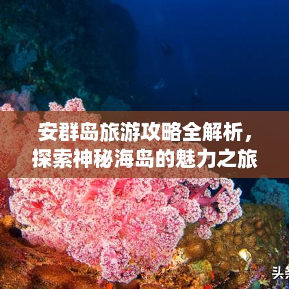 安群岛旅游攻略全解析，探索神秘海岛的魅力之旅！