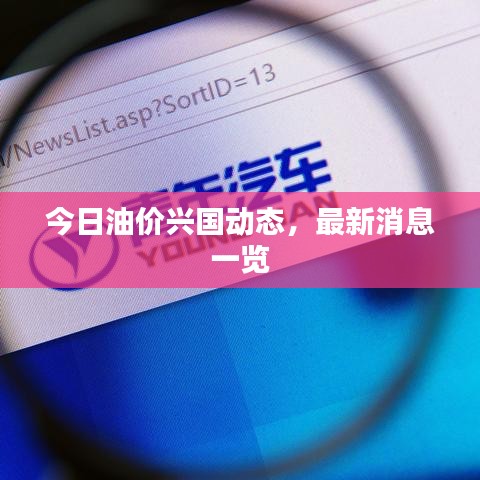 今日油价兴国动态，最新消息一览