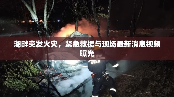湖畔突发火灾，紧急救援与现场最新消息视频曝光
