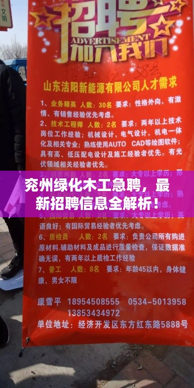 兖州绿化木工急聘，最新招聘信息全解析！