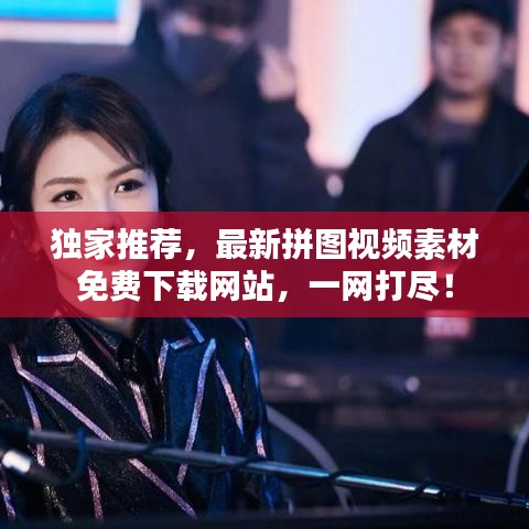 独家推荐，最新拼图视频素材免费下载网站，一网打尽！