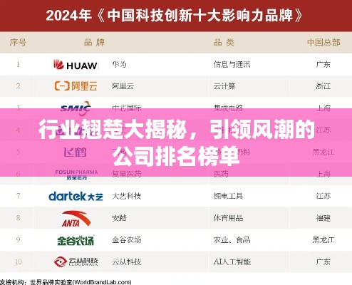 行业翘楚大揭秘，引领风潮的公司排名榜单
