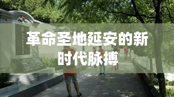 革命圣地延安的新时代脉搏