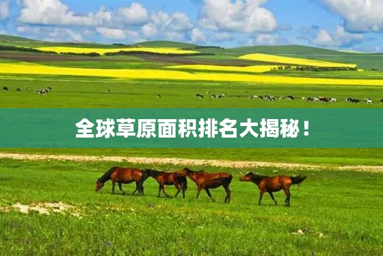 全球草原面积排名大揭秘！