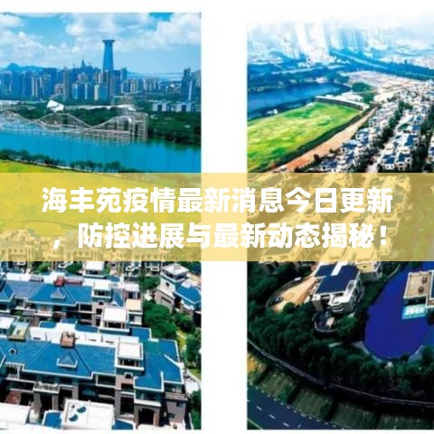海丰苑疫情最新消息今日更新，防控进展与最新动态揭秘！