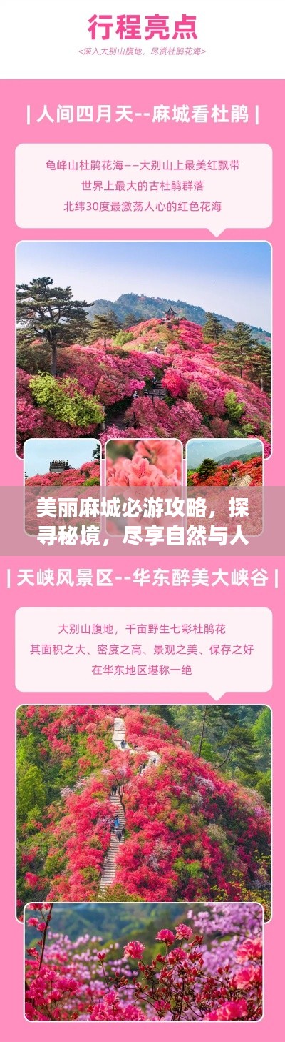 铺张浪费