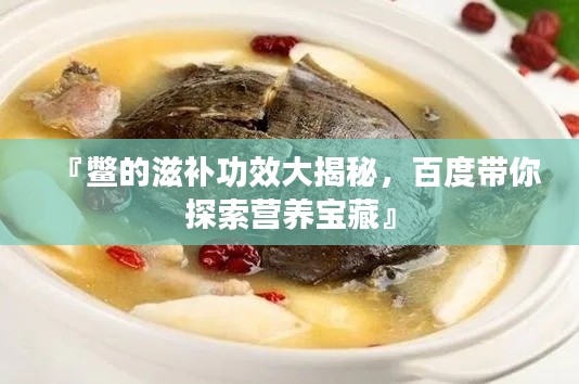 『鳖的滋补功效大揭秘，百度带你探索营养宝藏』