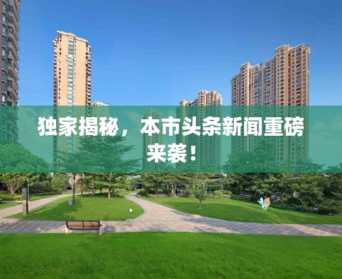 独家揭秘，本市头条新闻重磅来袭！