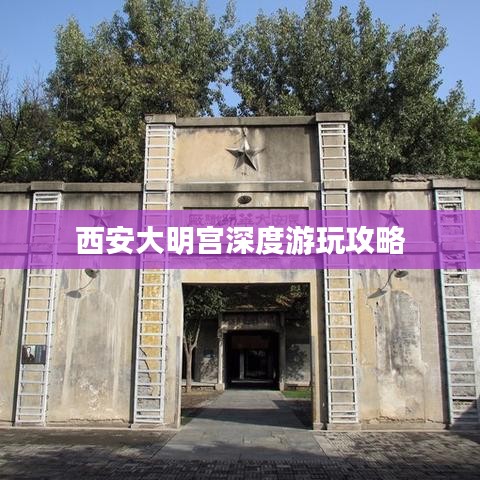 还醇返朴