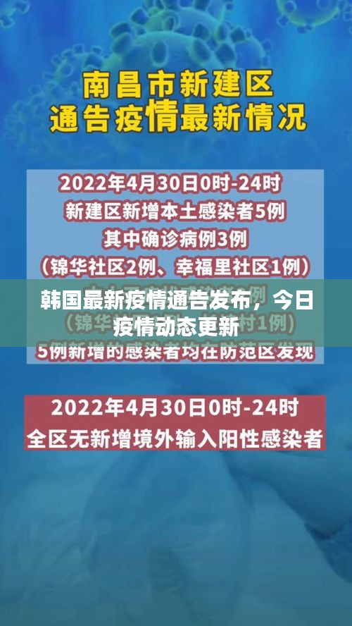 韩国最新疫情通告发布，今日疫情动态更新