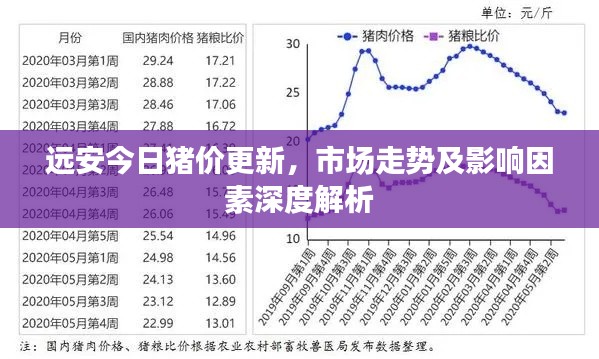远安今日猪价更新，市场走势及影响因素深度解析