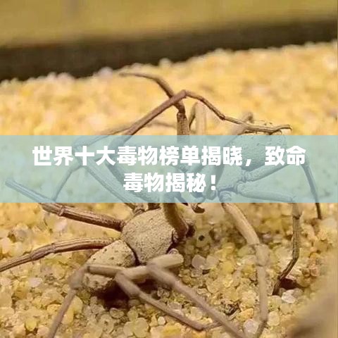 世界十大毒物榜单揭晓，致命毒物揭秘！