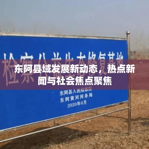 东阿县域发展新动态，热点新闻与社会焦点聚焦
