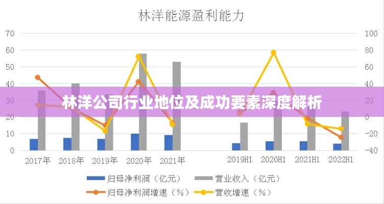 林洋公司行业地位及成功要素深度解析