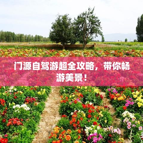 门源自驾游超全攻略，带你畅游美景！