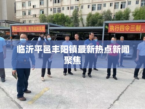 临沂平邑丰阳镇最新热点新闻聚焦