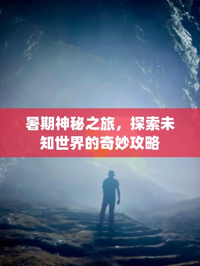 暑期神秘之旅，探索未知世界的奇妙攻略