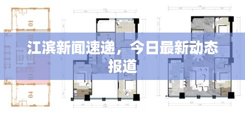江滨新闻速递，今日最新动态报道