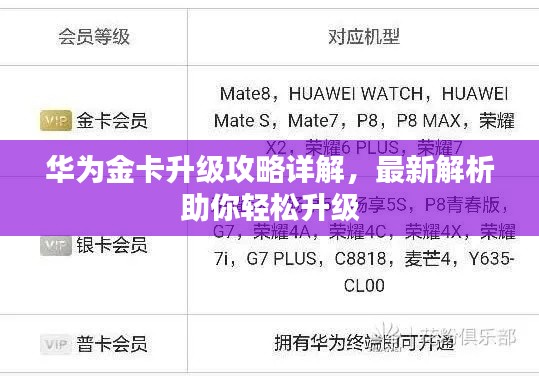 华为金卡升级攻略详解，最新解析助你轻松升级