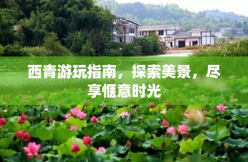 西青游玩指南，探索美景，尽享惬意时光