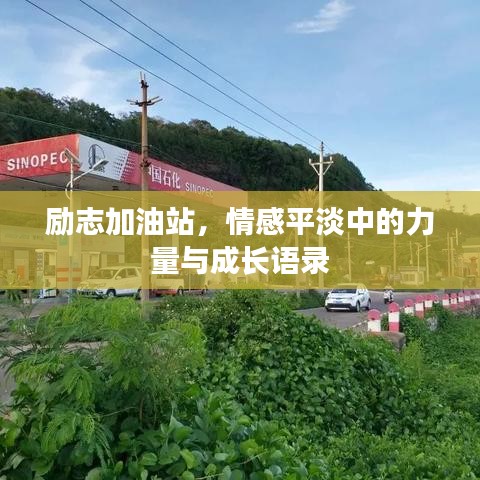 励志加油站，情感平淡中的力量与成长语录