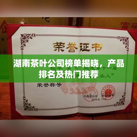 湖南茶叶公司榜单揭晓，产品排名及热门推荐
