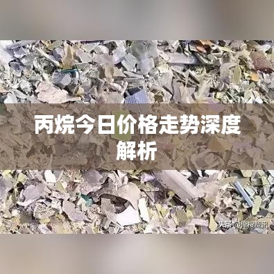 丙烷今日价格走势深度解析