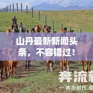 山丹最新新闻头条，不容错过！