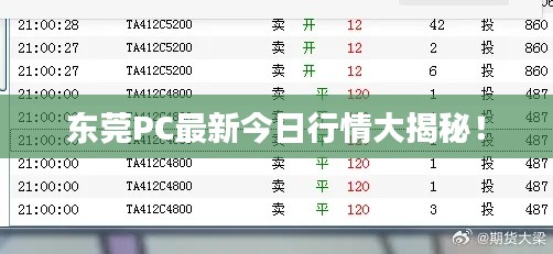 鸟骇鼠窜