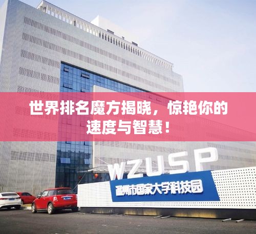 世界排名魔方揭晓，惊艳你的速度与智慧！