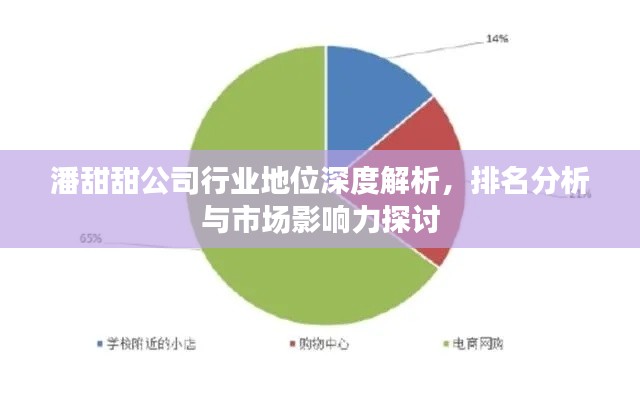 潘甜甜公司行业地位深度解析，排名分析与市场影响力探讨