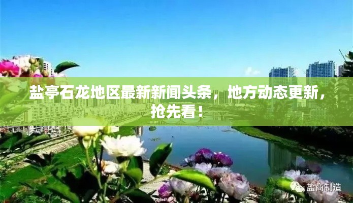 盐亭石龙地区最新新闻头条，地方动态更新，抢先看！