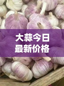大蒜今日最新价格走势速递