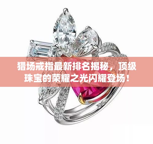 猎场戒指最新排名揭秘，顶级珠宝的荣耀之光闪耀登场！