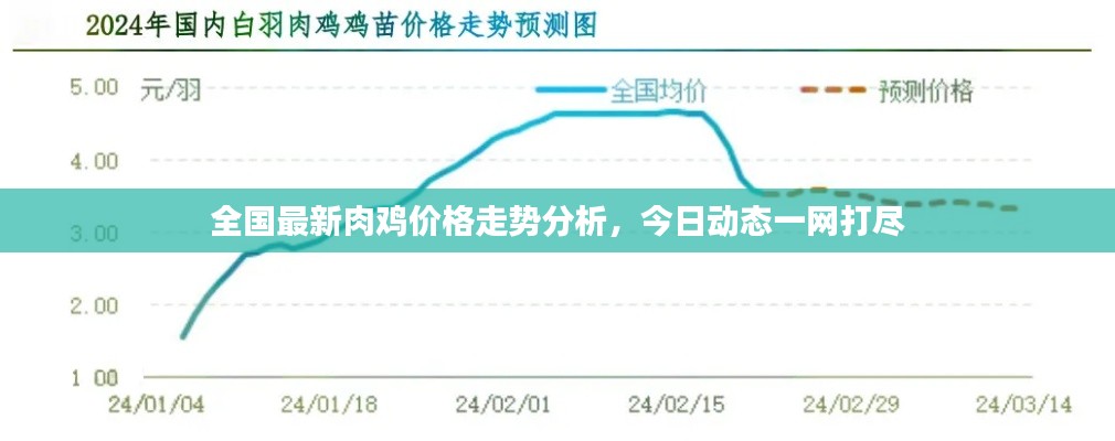 全国最新肉鸡价格走势分析，今日动态一网打尽
