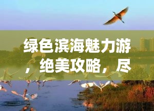 绿色滨海魅力游，绝美攻略，尽享自然之美