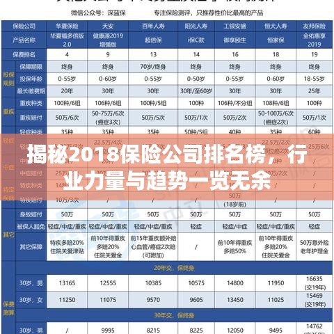揭秘2018保险公司排名榜，行业力量与趋势一览无余