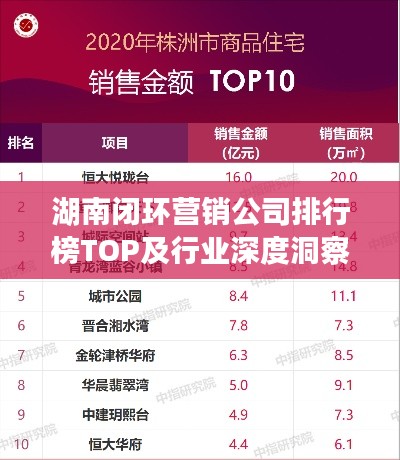 湖南闭环营销公司排行榜TOP及行业深度洞察