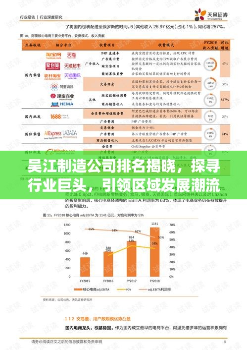吴江制造公司排名揭晓，探寻行业巨头，引领区域发展潮流！