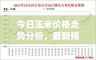 今日玉米价格走势分析，最新预测图、市场动态及趋势预测