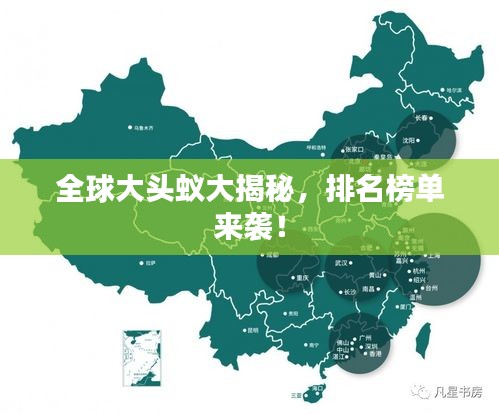 全球大头蚁大揭秘，排名榜单来袭！