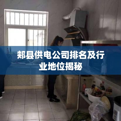 郏县供电公司排名及行业地位揭秘