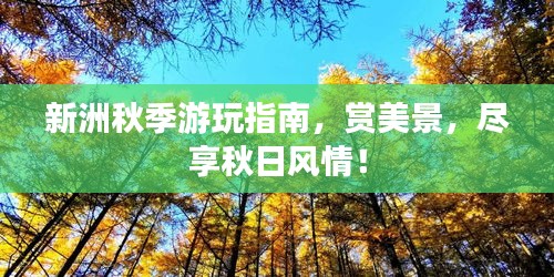 新洲秋季游玩指南，赏美景，尽享秋日风情！