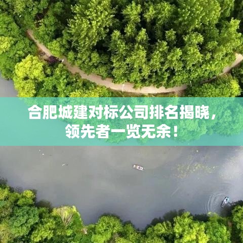 合肥城建对标公司排名揭晓，领先者一览无余！