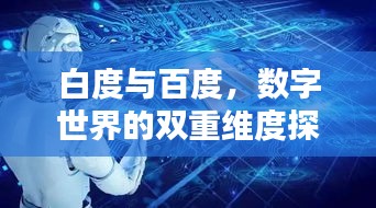 白度与百度，数字世界的双重维度探索