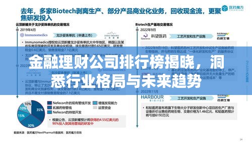 金融理财公司排行榜揭晓，洞悉行业格局与未来趋势