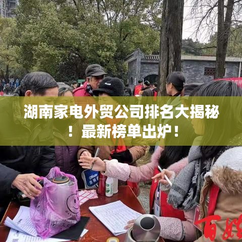 湖南家电外贸公司排名大揭秘！最新榜单出炉！