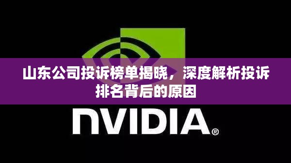 山东公司投诉榜单揭晓，深度解析投诉排名背后的原因