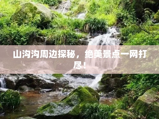 资料大全 第22页