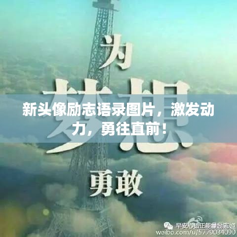 财经 第25页
